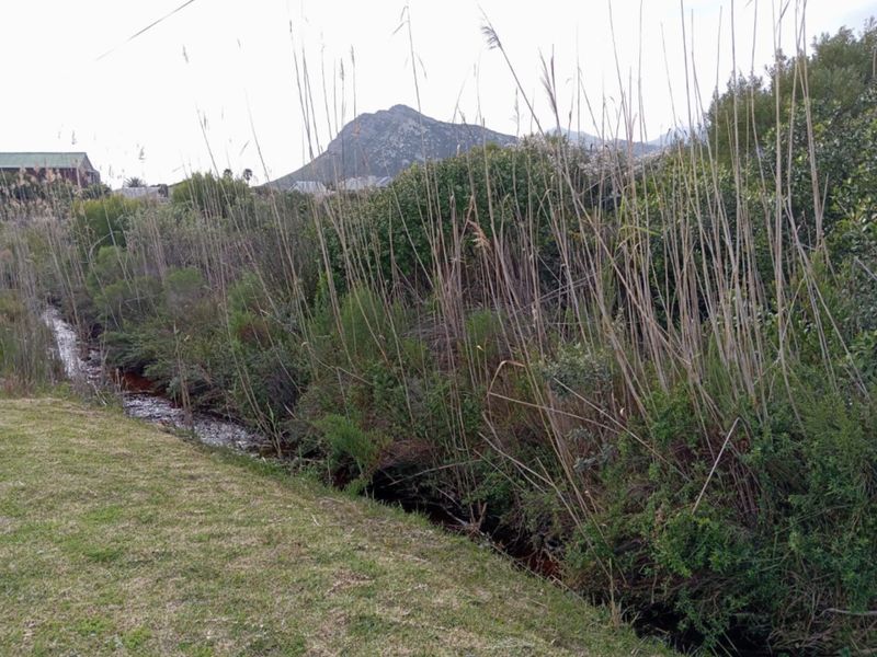 A scenic view of a natural stream bordered by indigenous vegetation with a prominent mountain backdrop, highlighting the property's natural landscape.