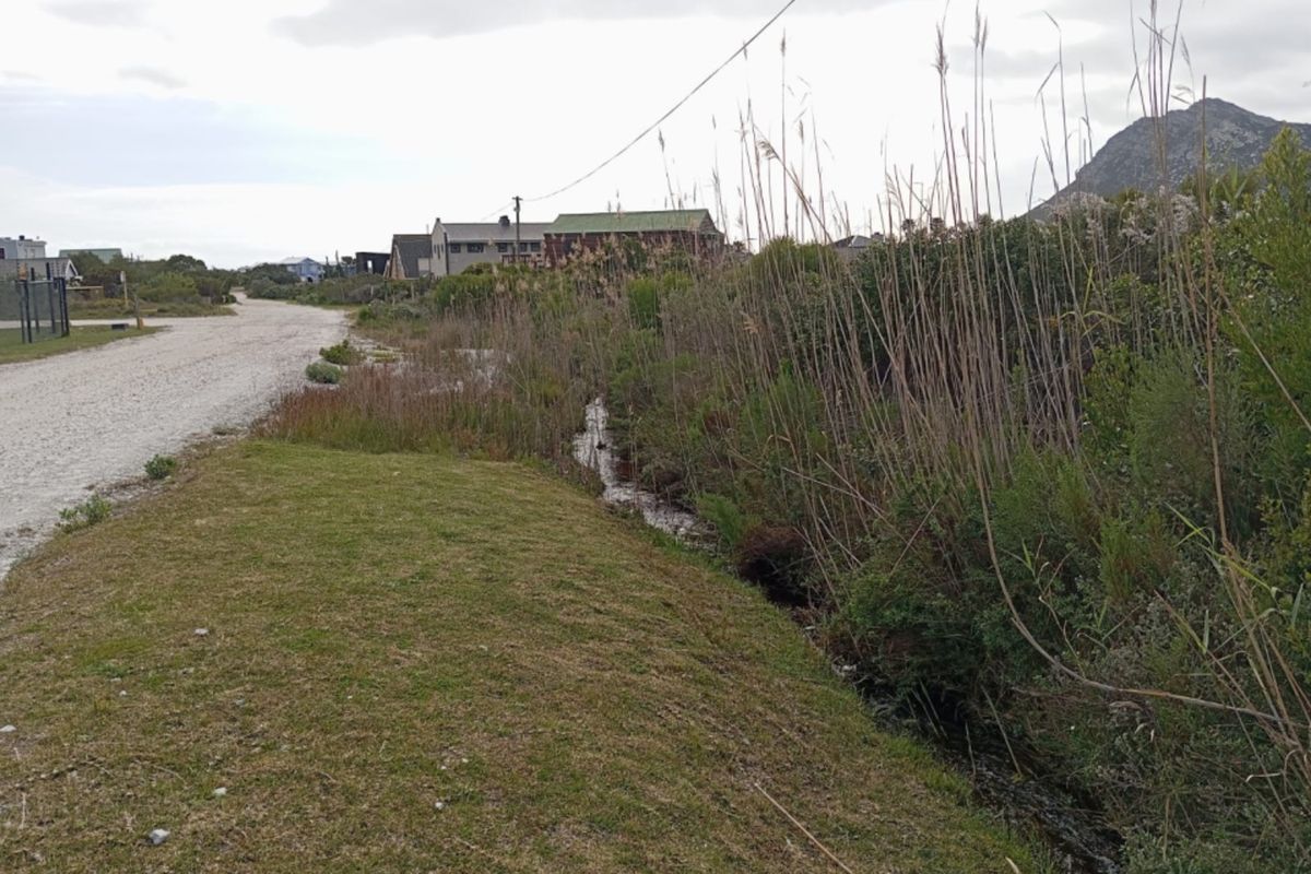A view of a gravel road and adjacent drainage ditch in a residential area with surrounding vegetation and distant mountain views.
