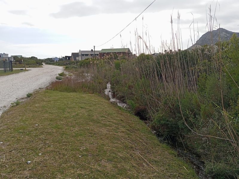 A view of a gravel road and adjacent drainage ditch in a residential area with surrounding vegetation and distant mountain views.