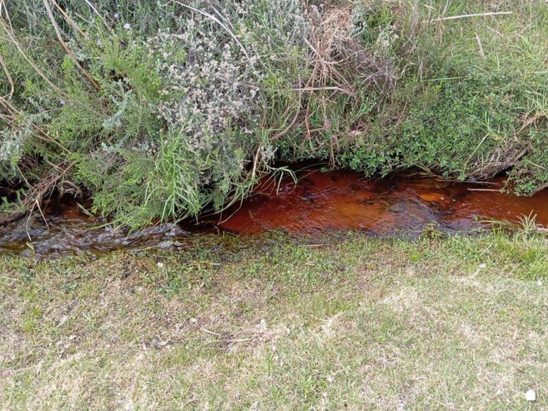 A view of a natural water feature or stream running through the property grounds with visible water discoloration.