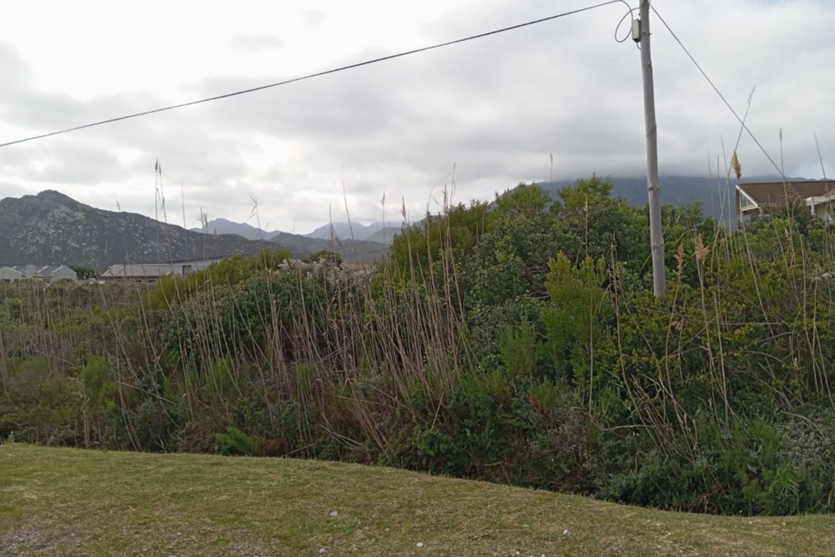 A view of the vacant residential land featuring natural vegetation, surrounding mountain scenery, and an existing utility pole with overhead power lines.