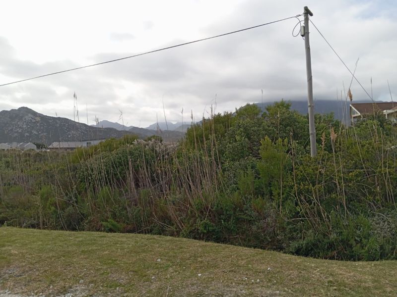 A view of the vacant residential land featuring natural vegetation, surrounding mountain scenery, and an existing utility pole with overhead power lines.