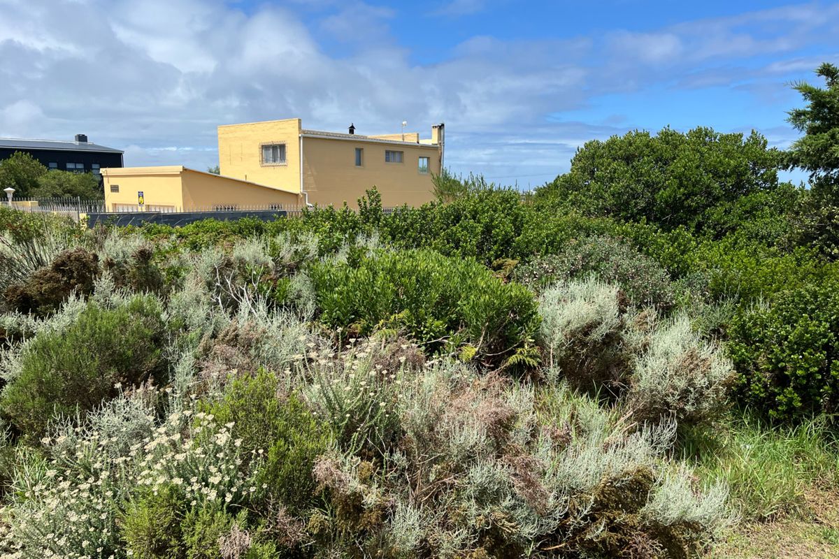 A view of the rear of the property featuring dense, established indigenous vegetation and natural landscaping.