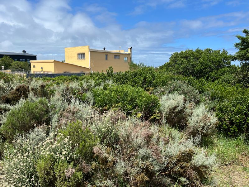 A view of the rear of the property featuring dense, established indigenous vegetation and natural landscaping.