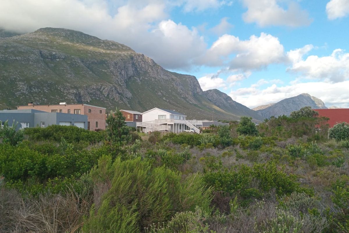 A scenic view of the surrounding landscape featuring natural fynbos vegetation and a prominent mountain range in the background.