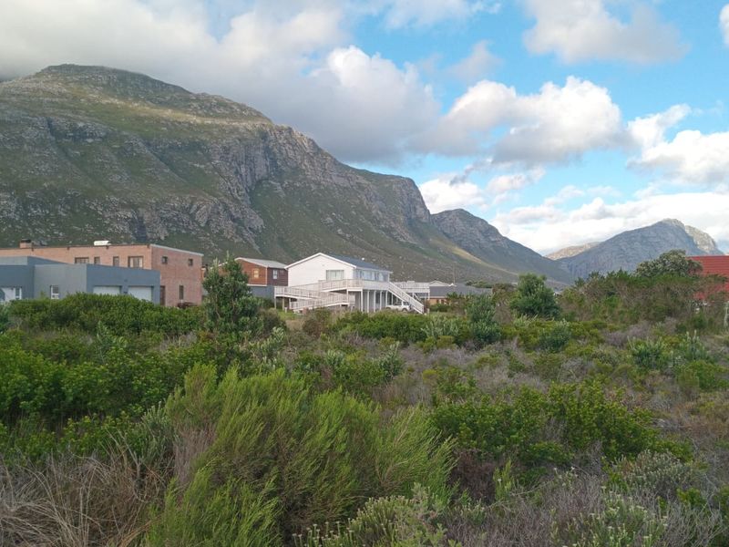 A scenic view of the surrounding landscape featuring natural fynbos vegetation and a prominent mountain range in the background.