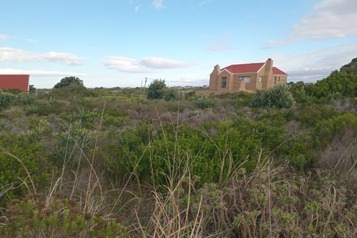 A view of a residential property lot featuring natural fynbos vegetation with a house visible in the background.