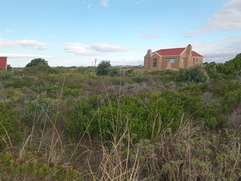 A view of a residential property lot featuring natural fynbos vegetation with a house visible in the background.