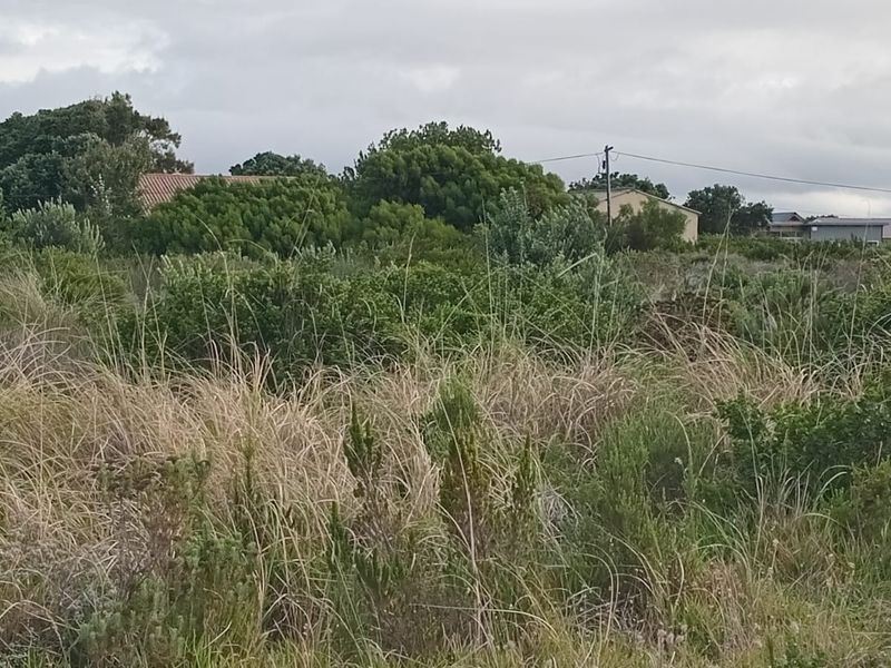 A view of a vacant residential plot covered in native coastal vegetation and grasses with surrounding neighborhood structures visible in the distance.