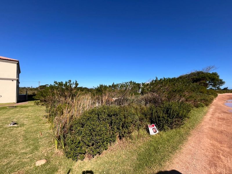 A vacant residential plot featuring natural vegetation, a grassed area, and adjacent dirt road access.