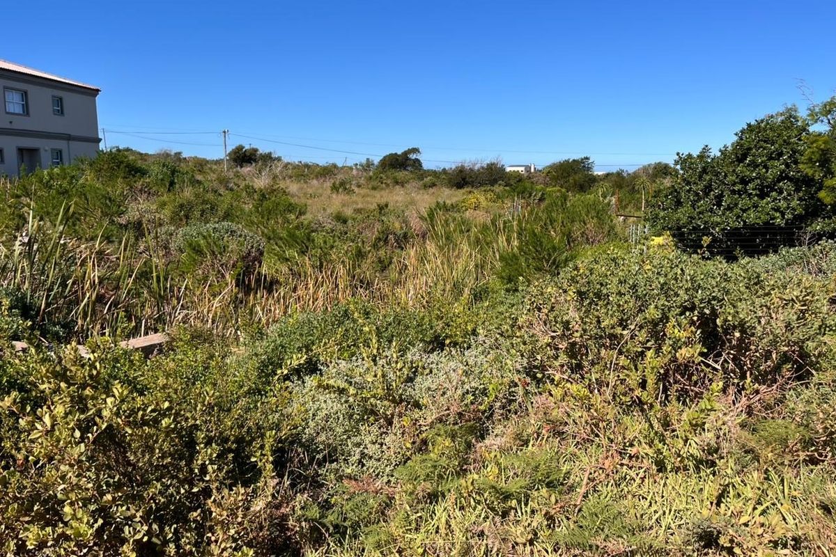 A view of a vacant residential plot featuring natural vegetation and established shrubbery, offering potential for future landscaping or development.