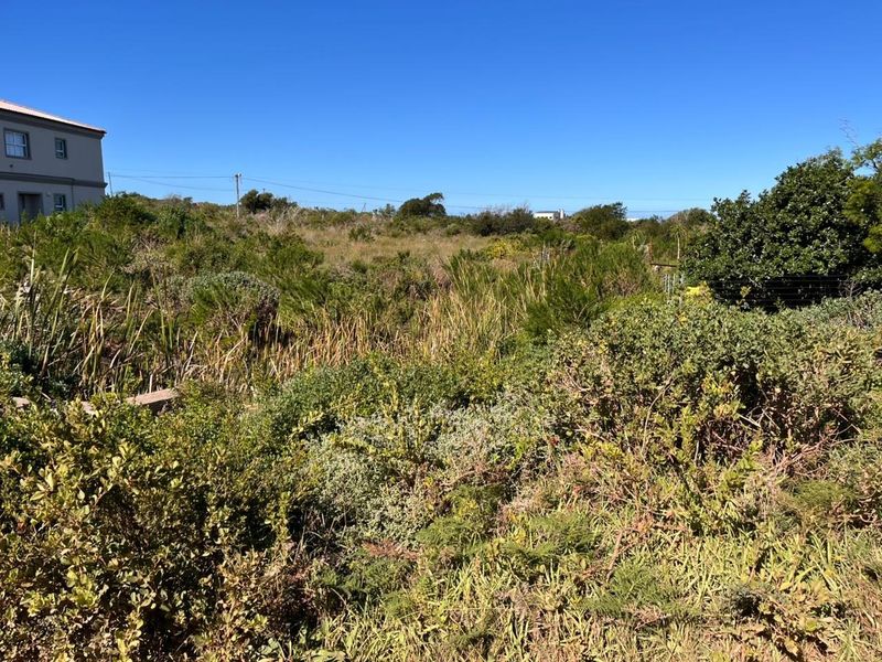 A view of a vacant residential plot featuring natural vegetation and established shrubbery, offering potential for future landscaping or development.