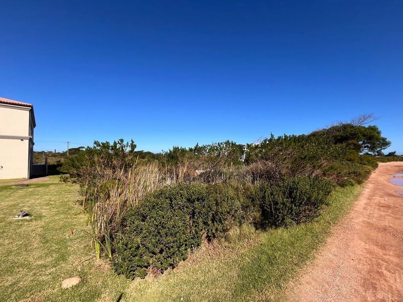 A view of a vacant residential plot featuring native vegetation and direct access to an unpaved road.