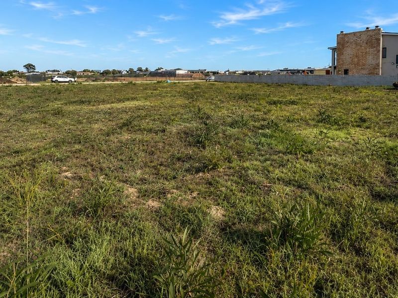 A vacant residential plot of land featuring natural grass cover and a perimeter boundary wall, situated in a developing residential area.