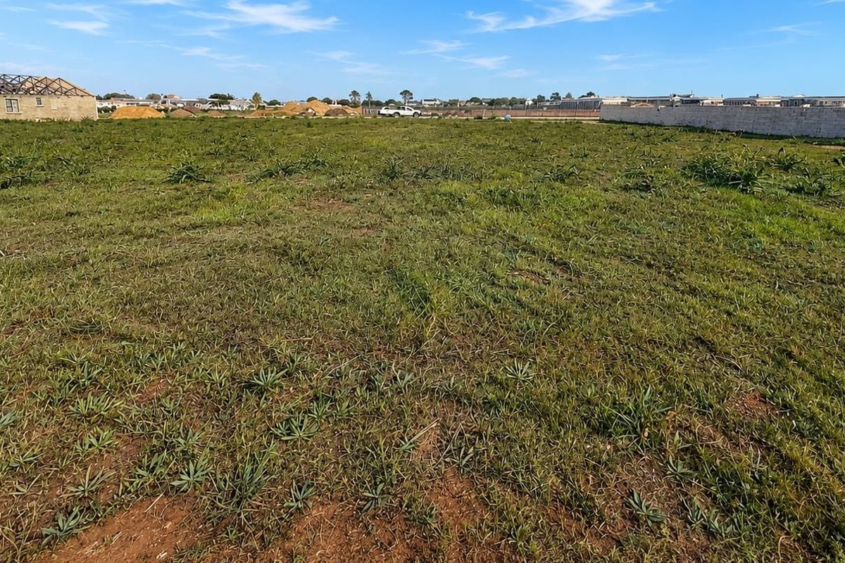 A vacant residential plot of land featuring open grass and a boundary wall, situated in a developing neighborhood.