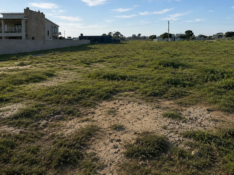 A vacant residential plot featuring natural grassland and a boundary wall, offering a clear space for future development.