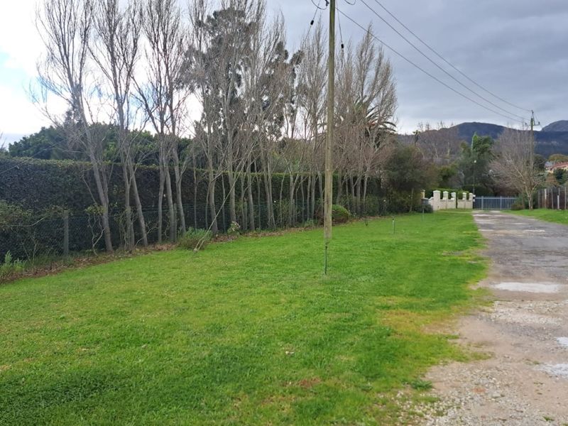 Expansive farm garden area featuring a gravel driveway, established perimeter hedging, and open lawn space with mountain views in the distance.