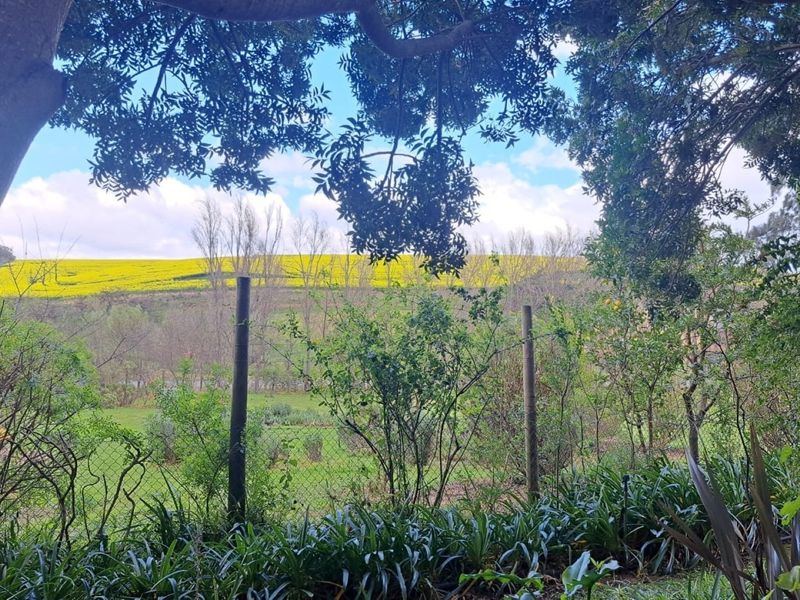 A scenic view overlooking a lush green garden and a vibrant yellow field in the distance, framed by mature trees.