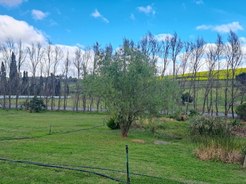 A scenic view of the farm landscape featuring open green fields, mature trees, and distant yellow crop fields under a clear blue sky.