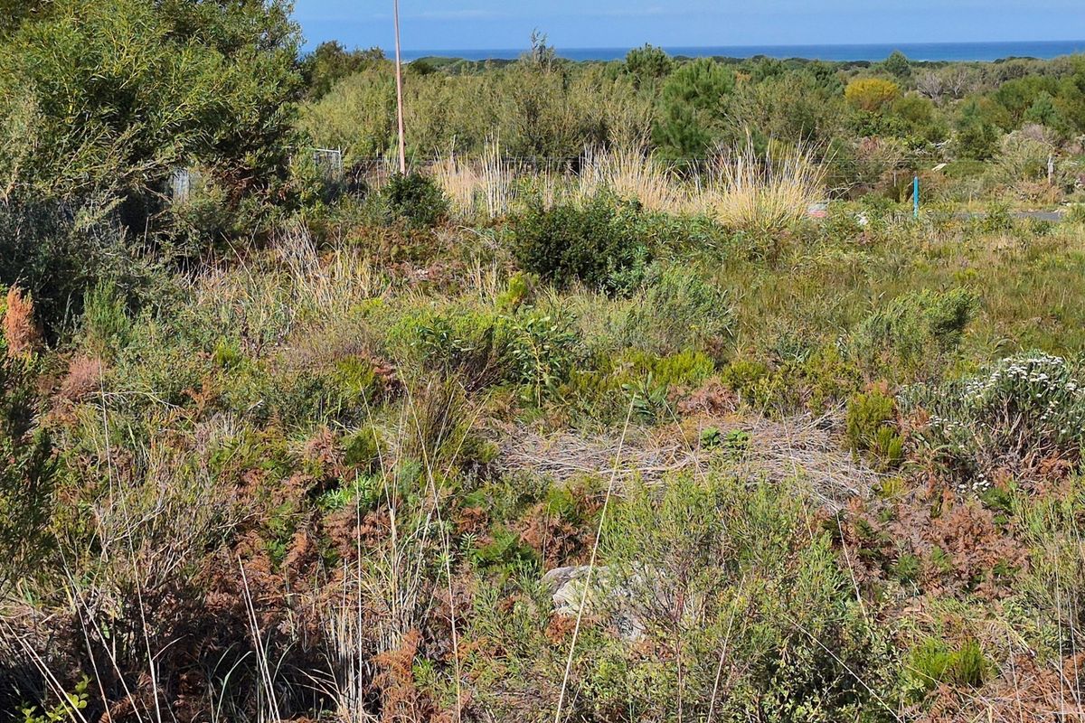 A view of the vacant residential land featuring native coastal vegetation with a distant ocean horizon.