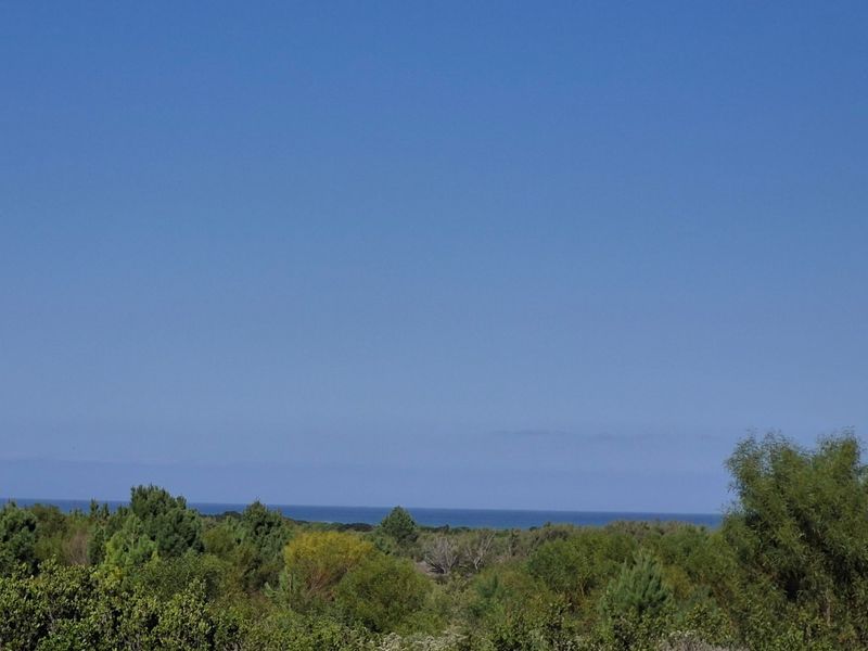 A scenic view overlooking natural coastal vegetation with a clear horizon line over the ocean.
