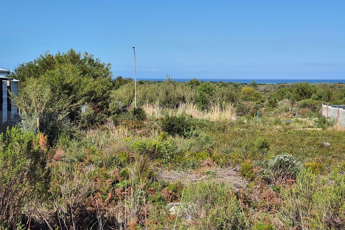 A view of the vacant residential land featuring native coastal vegetation with a distant ocean horizon.