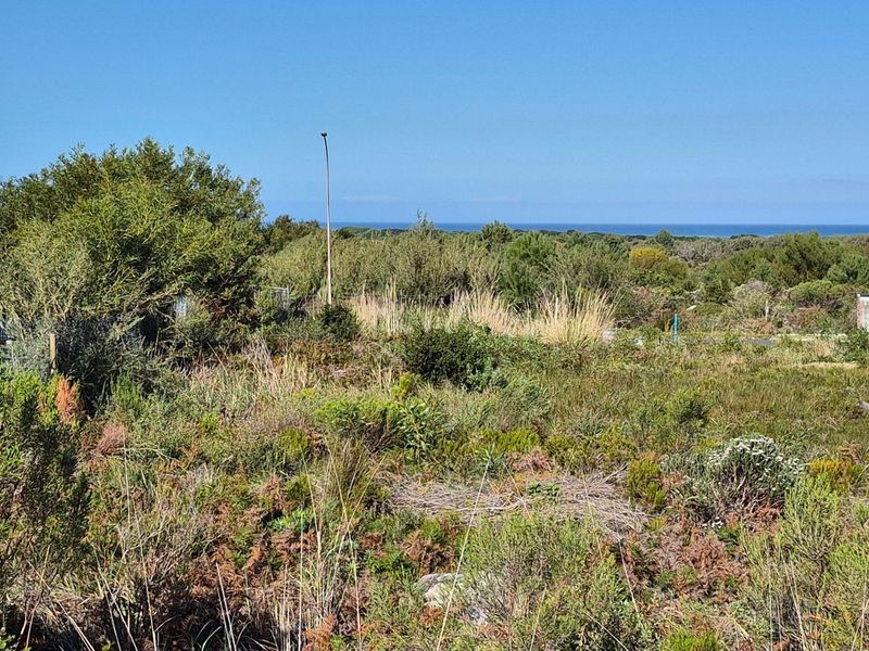 A view of the vacant residential land featuring native coastal vegetation with a distant ocean horizon.