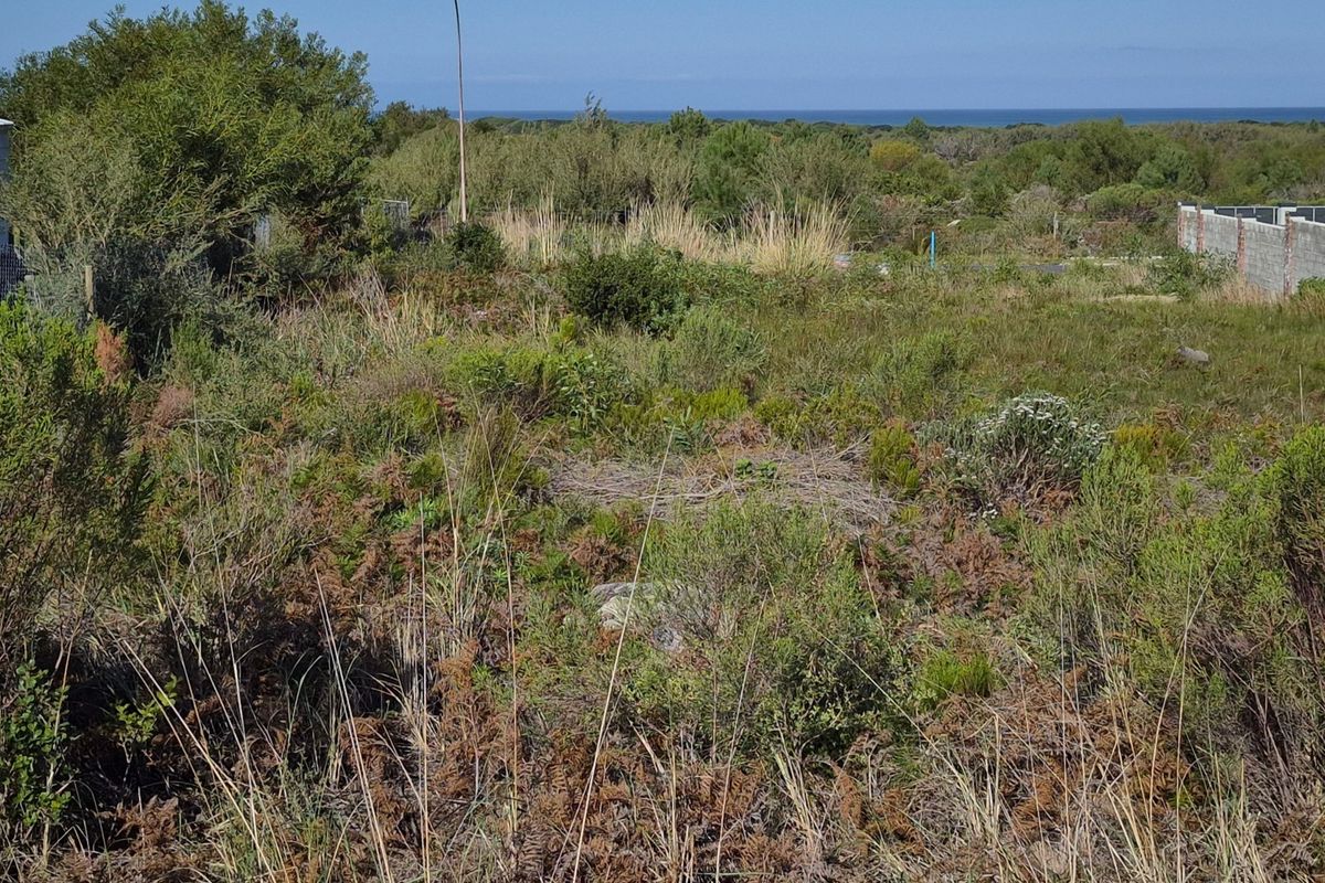 A view of the vacant residential land featuring native coastal vegetation with a distant ocean horizon.