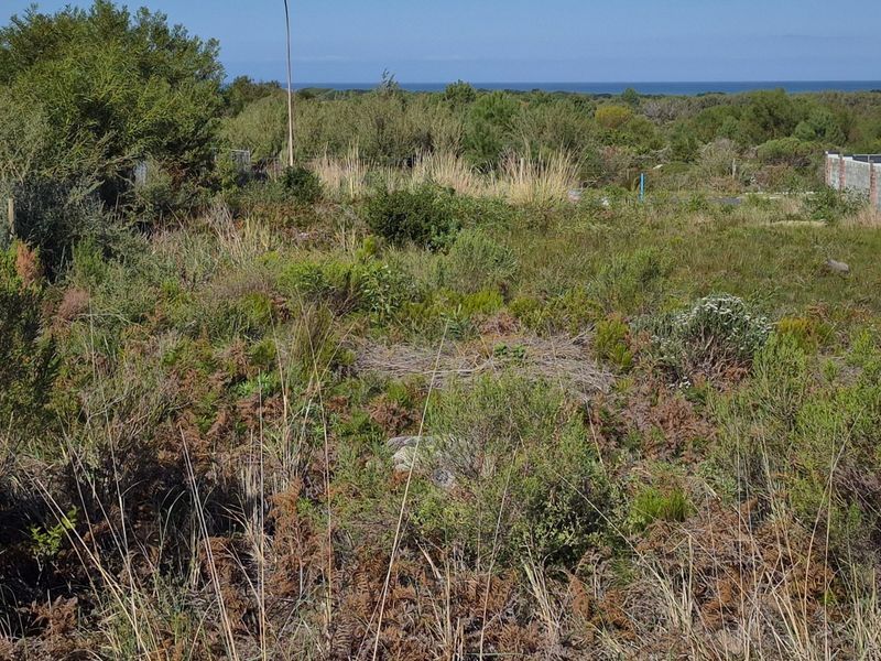 A view of the vacant residential land featuring native coastal vegetation with a distant ocean horizon.