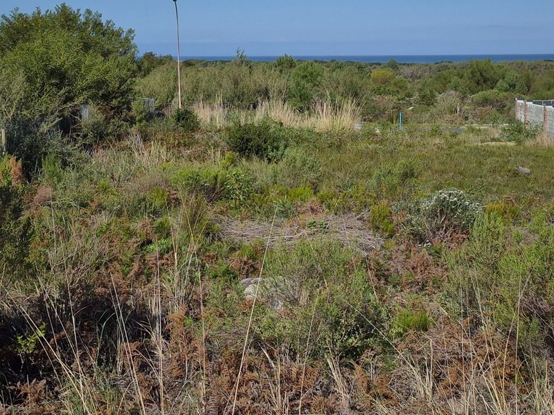 A view of a vacant residential plot featuring natural coastal vegetation with a distant ocean horizon.