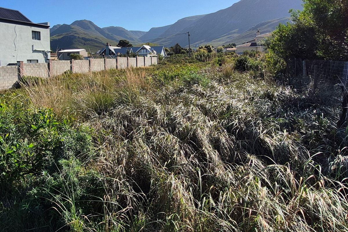 A view of a vacant residential plot featuring overgrown vegetation, boundary walls, and surrounding mountain views.