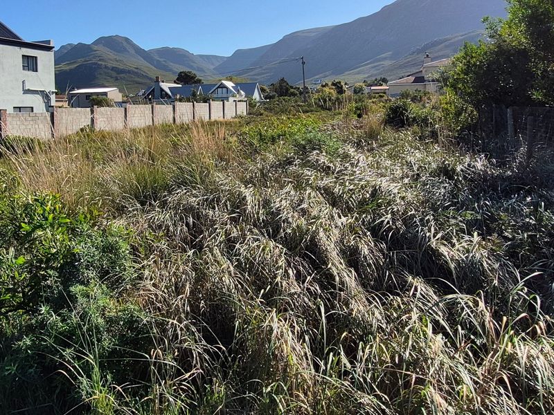 A view of a vacant residential plot featuring overgrown vegetation, boundary walls, and surrounding mountain views.