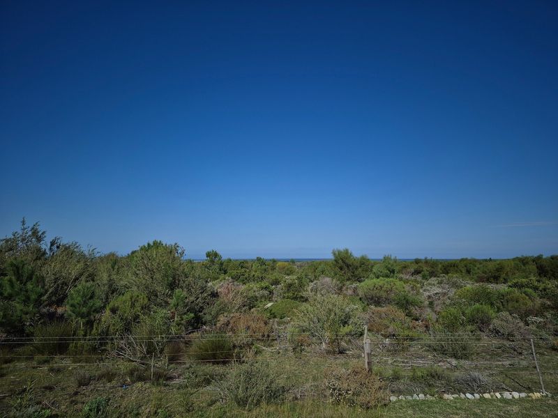 A scenic view of natural vegetation and landscape, featuring a wire fence boundary in the foreground under a clear blue sky.