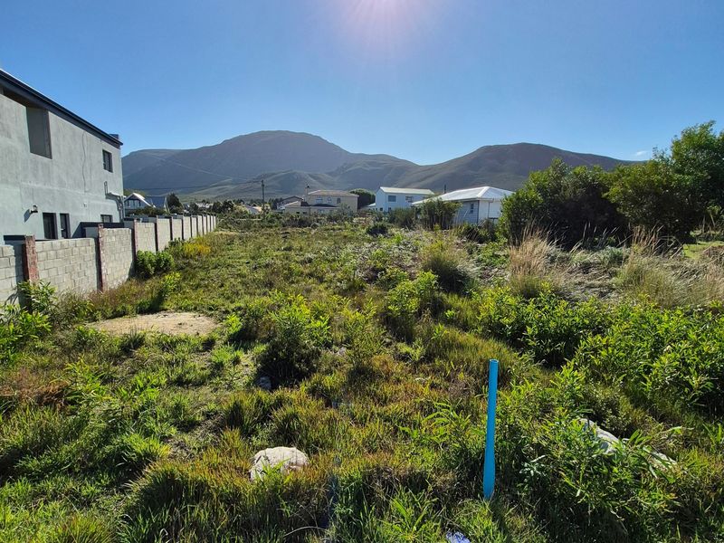 A vacant residential plot featuring natural vegetation, a boundary wall, and scenic mountain views in a quiet neighborhood setting.