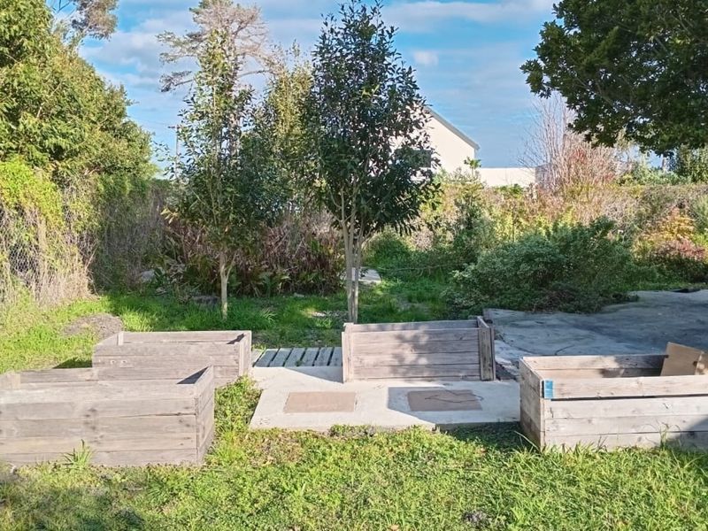 A spacious backyard garden area featuring concrete paving, established trees, and perimeter chain-link fencing, offering potential for landscaping and outdoor development.