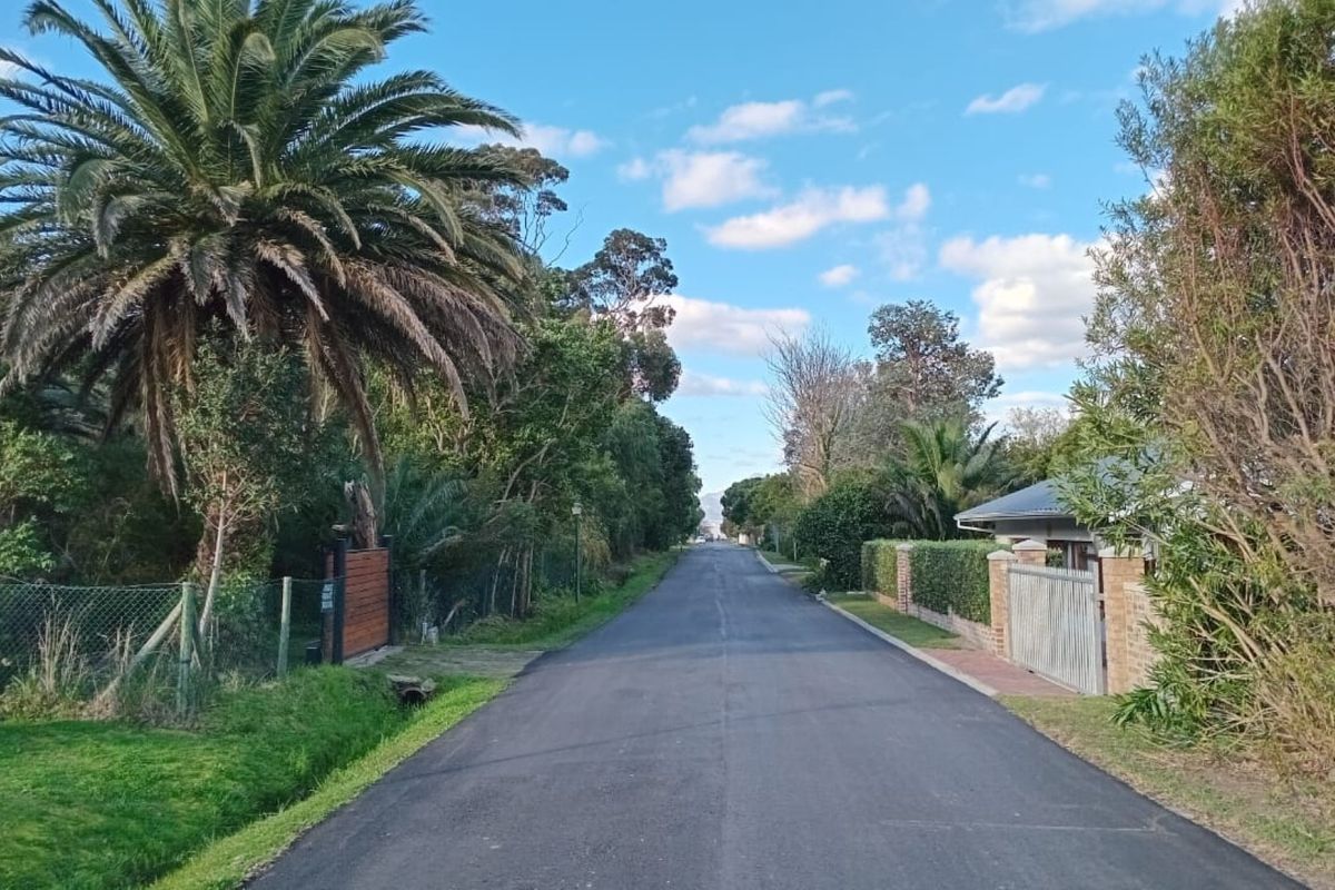 A view looking down a quiet residential street lined with mature trees, established gardens, and perimeter fencing.