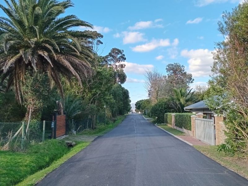 A view looking down a quiet residential street lined with mature trees, established gardens, and perimeter fencing.