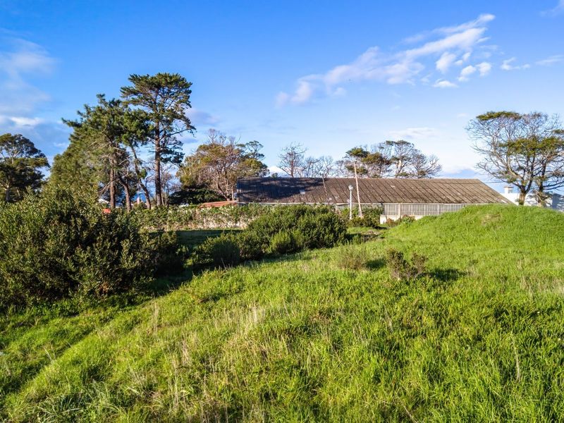 A view of the rear section of the residential land, featuring sloped grassy terrain, mature trees, and a boundary wall.