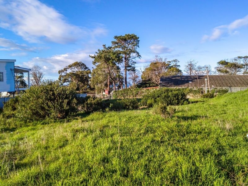 A view of a vacant residential plot featuring established trees, natural grass cover, and adjacent residential structures.