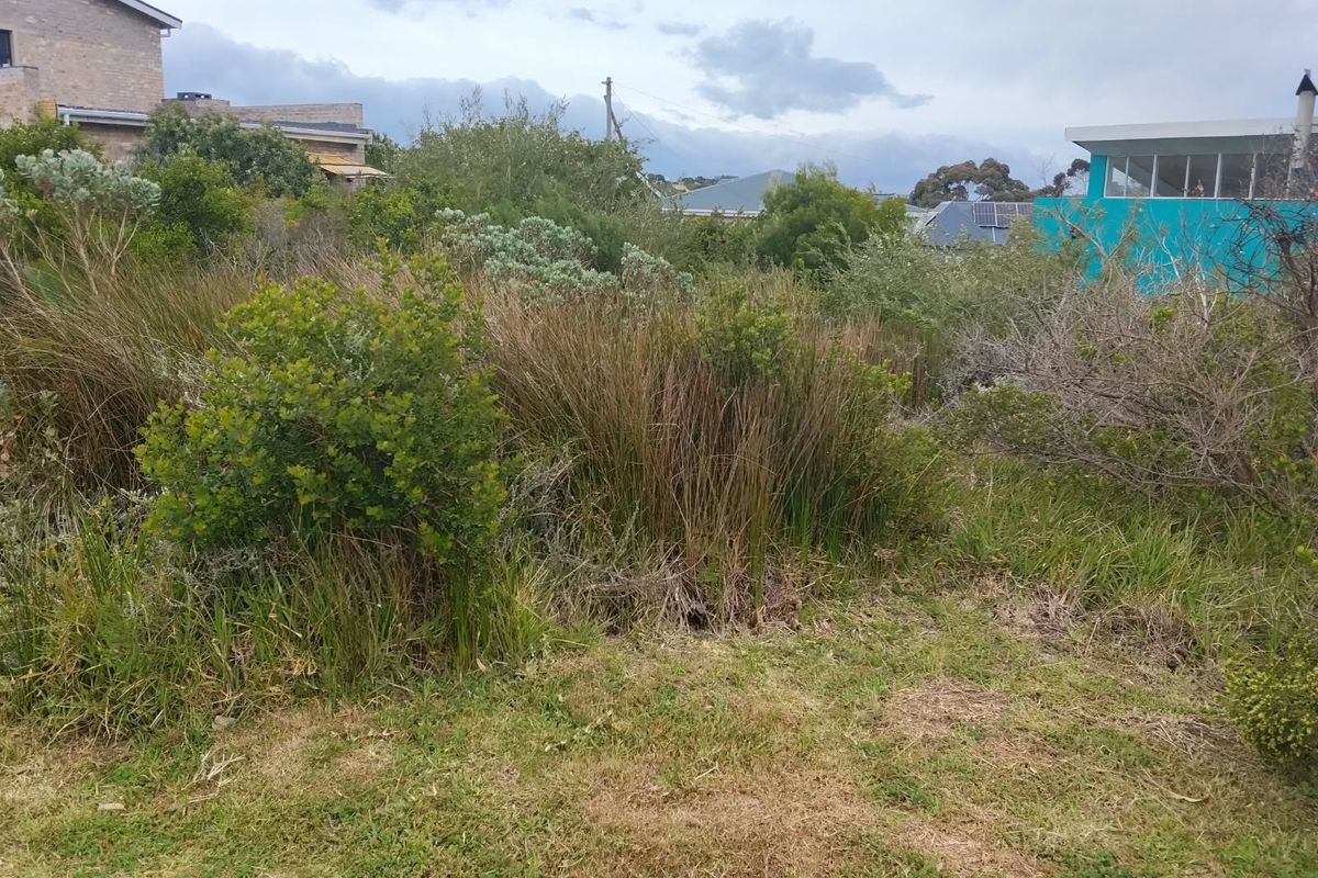 A view of the vacant residential land featuring natural vegetation and established shrubs, situated within a developed neighborhood setting.