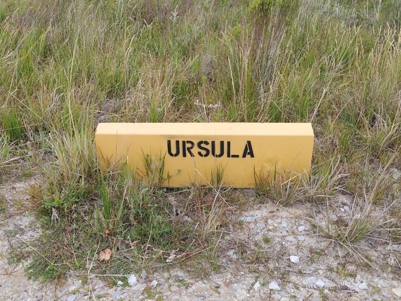 A yellow property boundary marker labeled Ursula situated on a vacant residential plot.