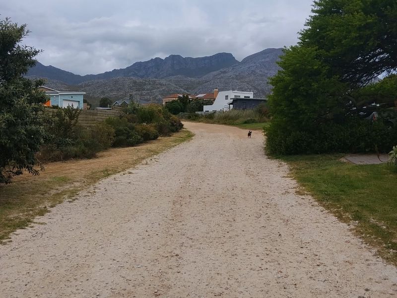 A view of a gravel access road leading towards residential properties with a scenic mountain backdrop.