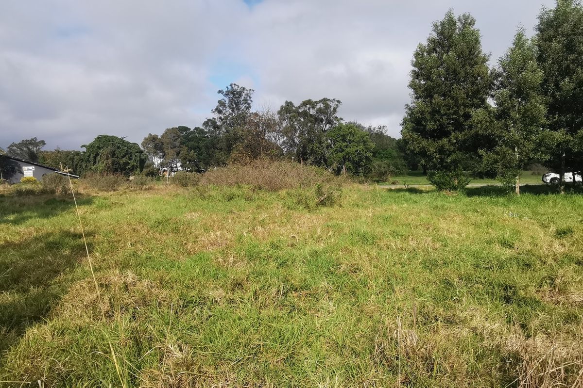 PRIME DEVELOPMENT POTENTIAL - Photo 4