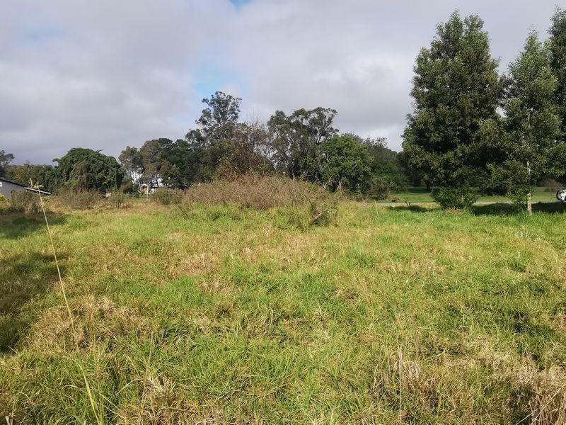 PRIME DEVELOPMENT POTENTIAL - Photo 4