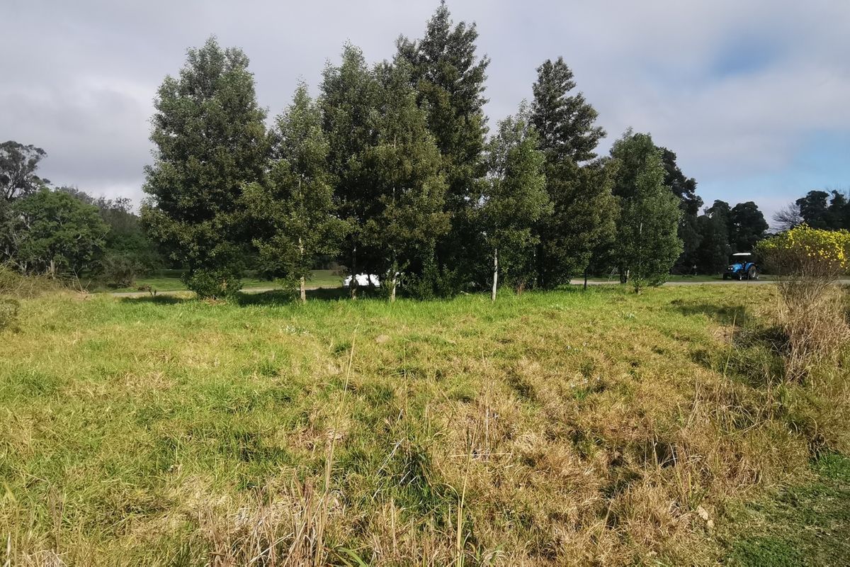 PRIME DEVELOPMENT POTENTIAL - Photo 5