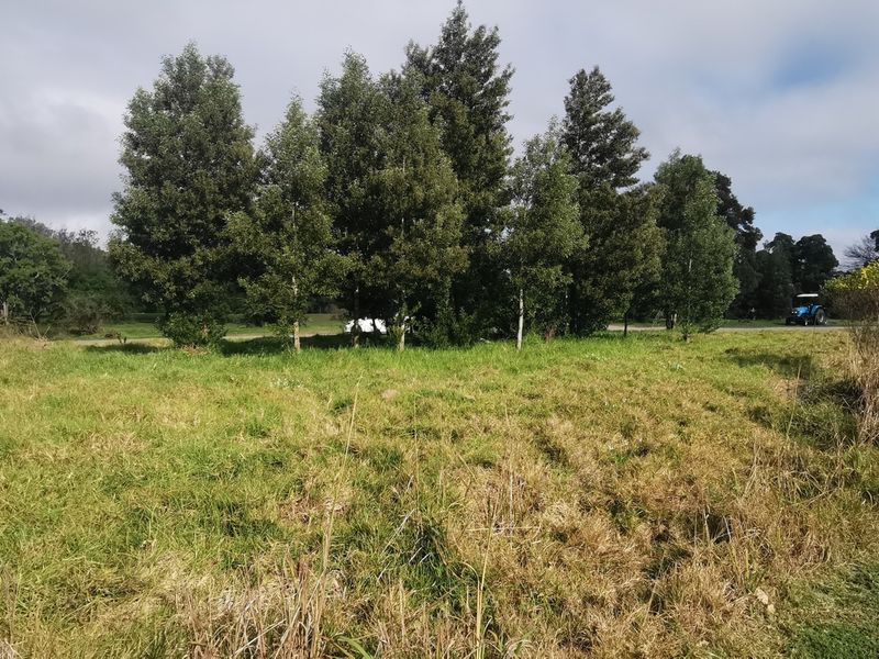 PRIME DEVELOPMENT POTENTIAL - Photo 5