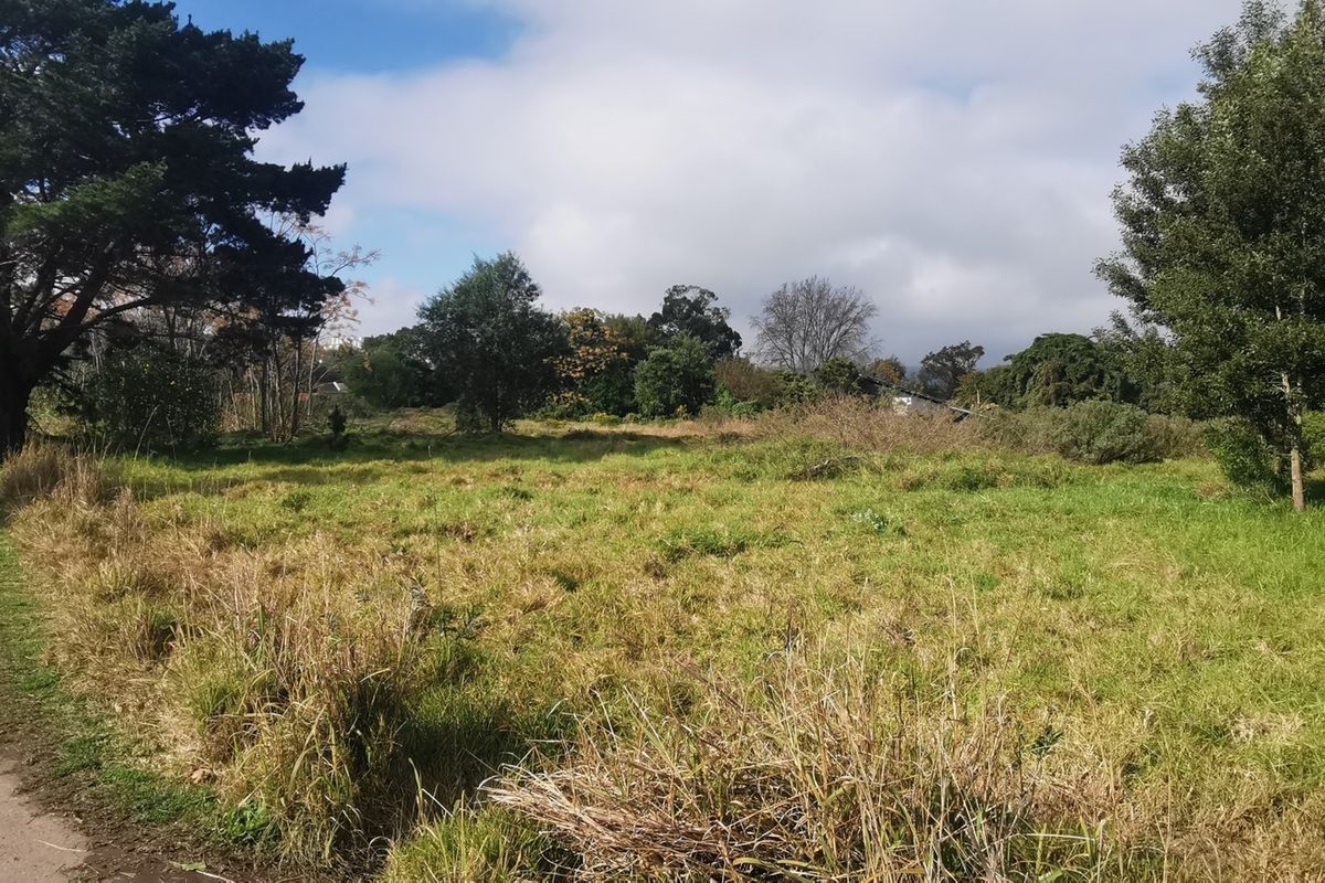 PRIME DEVELOPMENT POTENTIAL - Photo 3