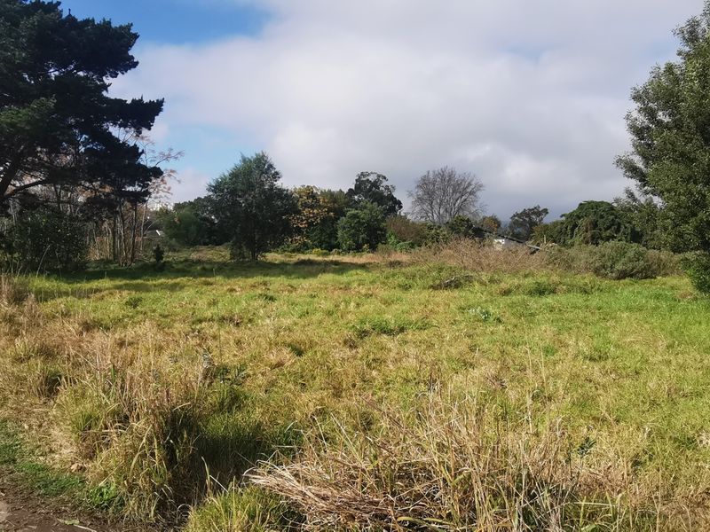 PRIME DEVELOPMENT POTENTIAL - Photo 3