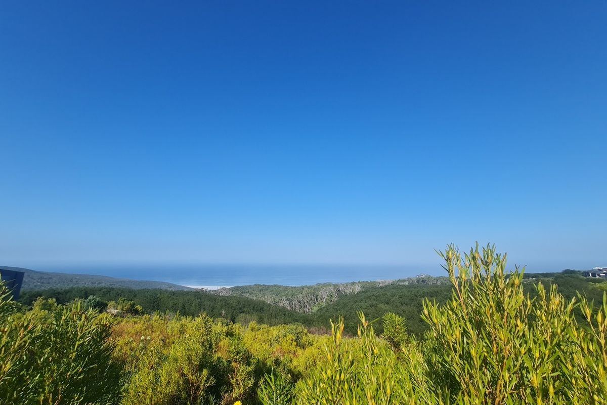 Luxurious Living in Pezula Private Nature Estate - Photo 2