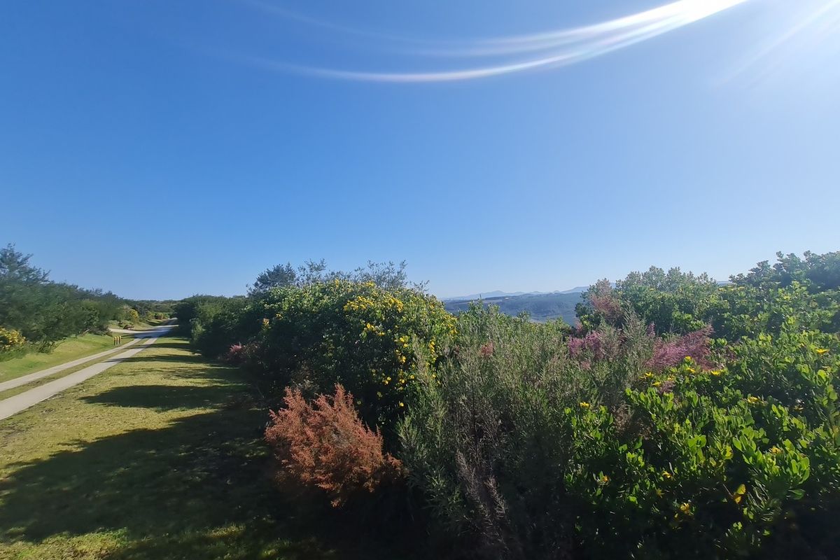 Luxurious Living in Pezula Private Nature Estate - Photo 5